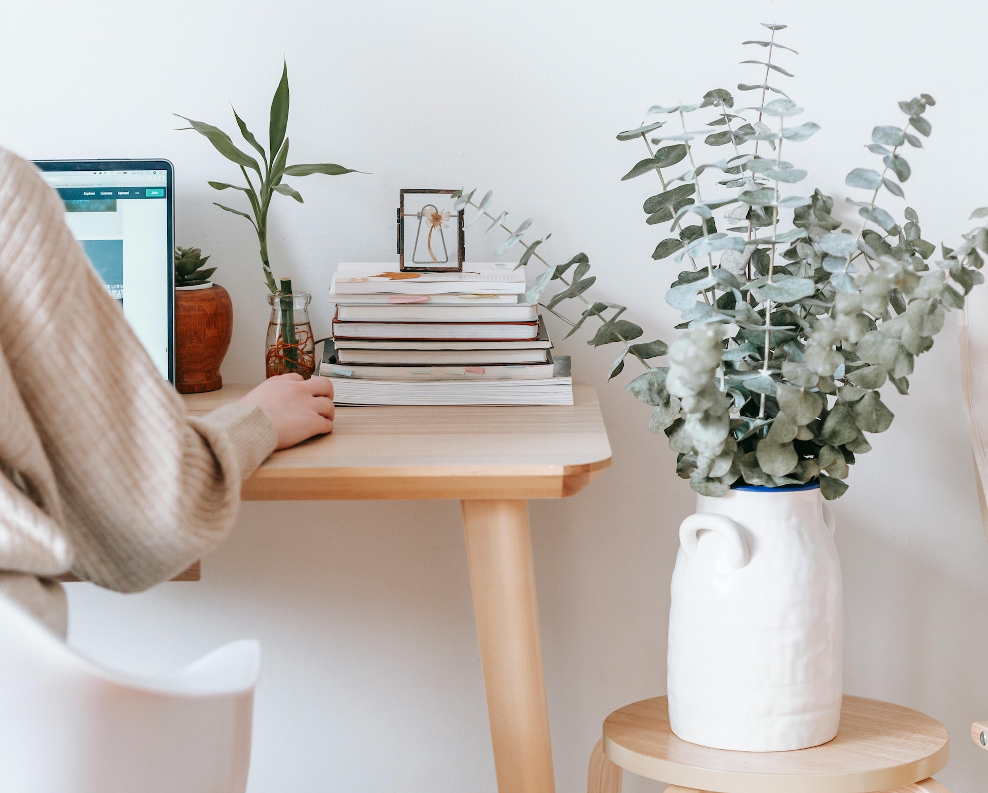 a person sitting at a desk with a plant in a vase exploring a well-designed website.